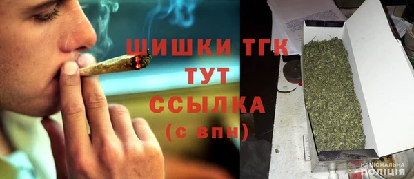 дмт Арсеньев