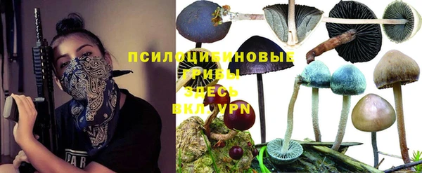 твердый Армянск